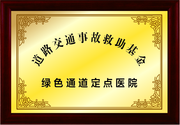 荣誉-10