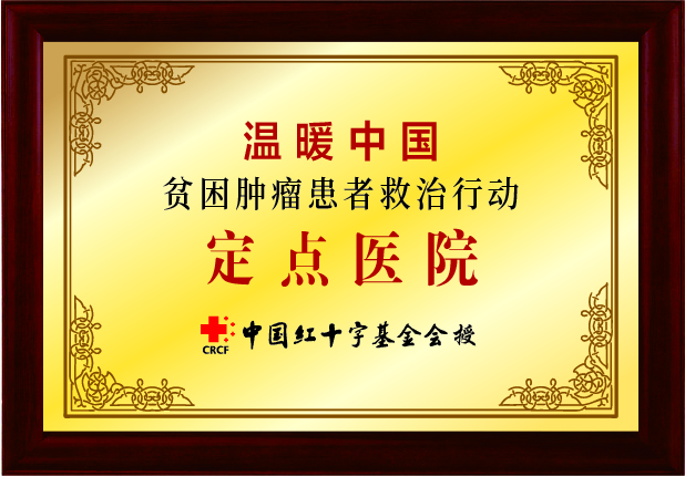 荣誉-12